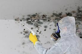 Best Mold Remediation for Healthcare Facilities  in Exeter, CA